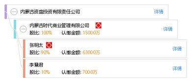 內(nèi)蒙古資盛投資有限責任公司
