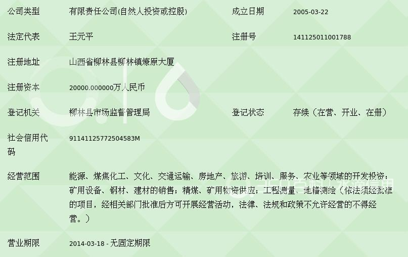 山西凌志能源投資集團