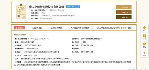 小鵬汽車深化產業布局 1億元設立新能源投資公司，分公司注冊同步啟動